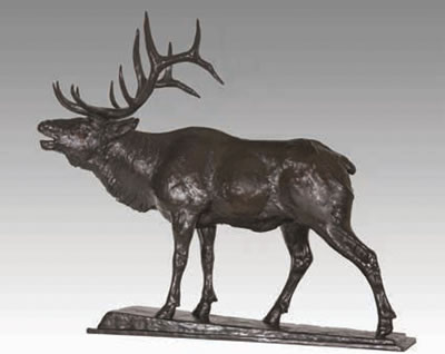 Herd Bull