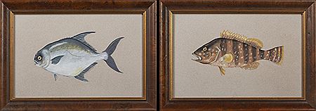 "Pompano," and "Grouper," 1988 (2)