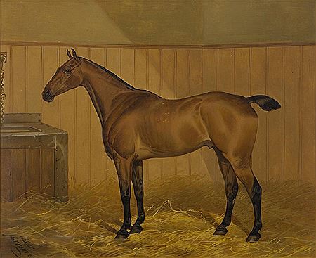 Untitled (Horse in a stable)