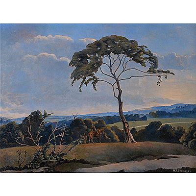 Sussex Landscape