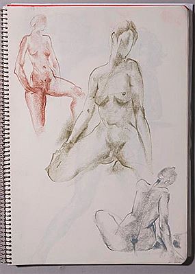 Carnet d'environ 79 feuilles de nus féminins (79) by Gaston Coppens - Auction record, sale price, and art valuation. Compare with similar artists and explore comparable artworks.