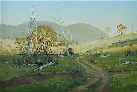 The Moparabah Road