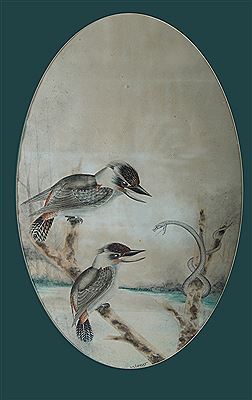 Two Kookaburras & Snake at Bay