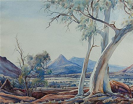 Central Australian Landscape