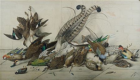 Still Life - Australian Birds by Neville Henry Peniston Cayley - Auction record, sale price, and art valuation. Compare with similar artists and explore comparable artworks.