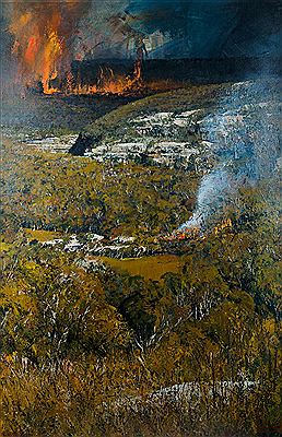 'Bushfire and Backburn in a Landscape