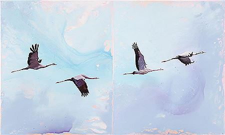 Hike, diptych