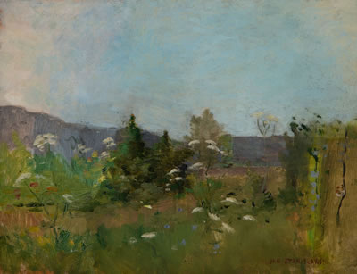 Landscape