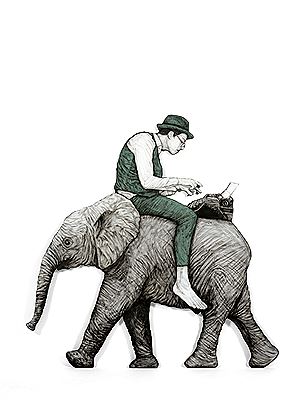 Éléphant, 2016