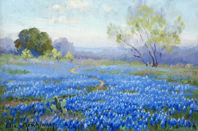Bluebonnets