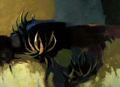 Yucca, 1963