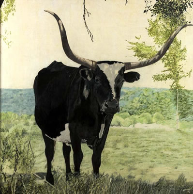 Texas Longhorn, Dale River Ranch by Natalie Erwin - Auction record, sale price, and art valuation. Compare with similar artists and explore comparable artworks.