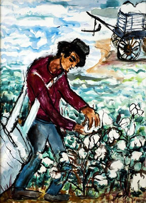 Picking Cotton
