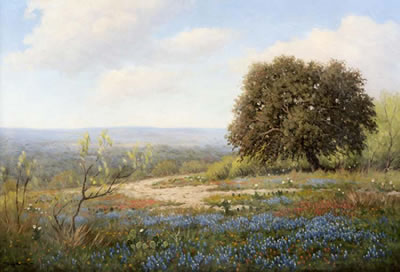 Texas Wild Flowers
