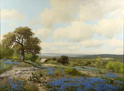 Texas Hill Country Spring