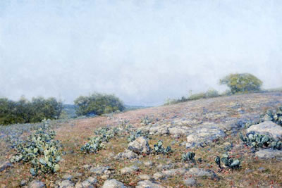 "Pink Flox, c. 1927"