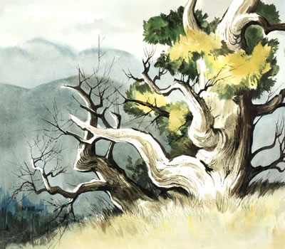 "Untitled, Tree"