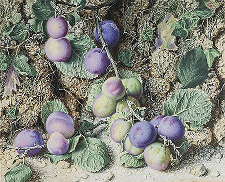 Still life with plums, 1864