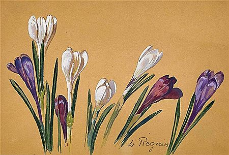 Krokusse by Louis Reguin-Ducommun - Auction record, sale price, and art valuation. Compare with similar artists and explore comparable artworks.