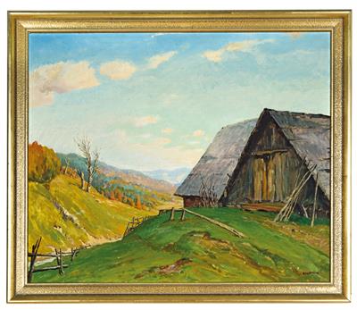 Sonnige Almlandschaft