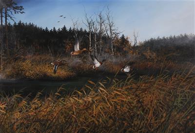 Streichende Enten im Herbst by Hubert Weidinger - Auction record, sale price, and art valuation. Compare with similar artists and explore comparable artworks.