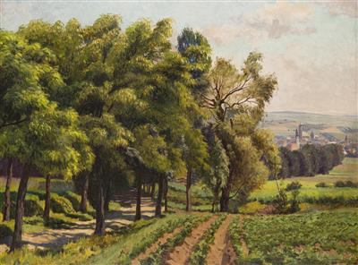 A View of Domažlice
