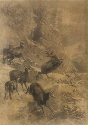 Anvisierte Gämsen im Hochgebirge