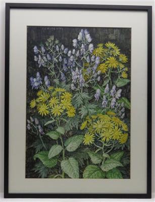 Wiesenblumen