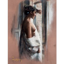 Modelo en la ventana