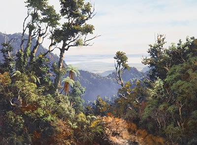 Firth of Thames, near Hikuai (1987)