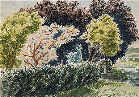 Spring, Near Taihape