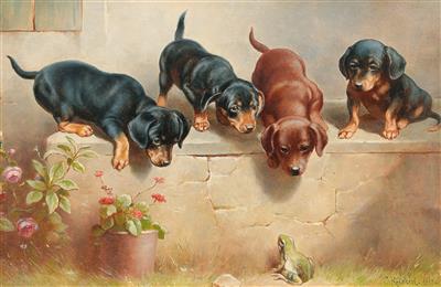 Curious dachshund puppies and a frog
