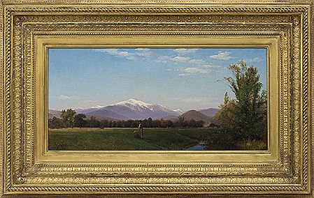 Mt. Washington meadows