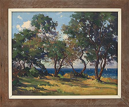 Coastal landscape viewed through trees.
