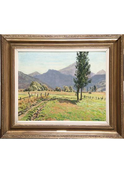 Paisaje de campo