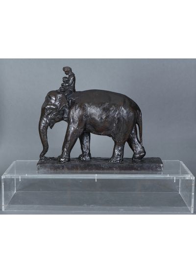 Toomaï des éléphants