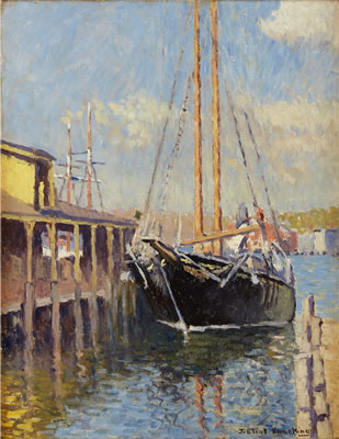 "THE BLUE DOLPHIN"