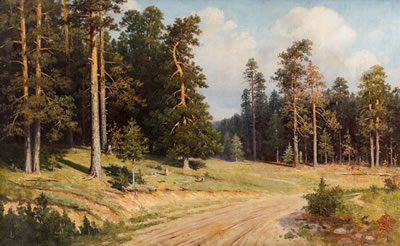 Road through the Forest