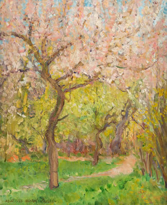 Cherry Blossom