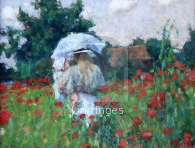 Poppy fields