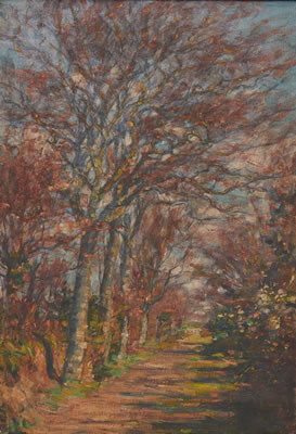 Tree Lined Lane