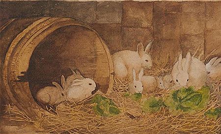 Rabbits