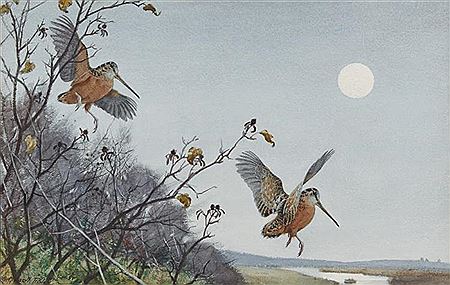 Woodcock with Moonrise