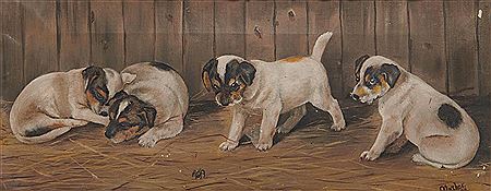 Puppies with a Spider