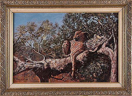 Cheetah in a Tree by Pierre de Villiers - Auction record, sale price, and art valuation. Compare with similar artists and explore comparable artworks.