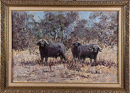 Water Buffalo