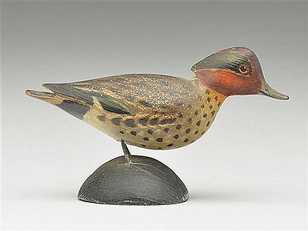 Miniature greenwing teal drake