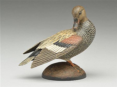 Miniature preening gadwall