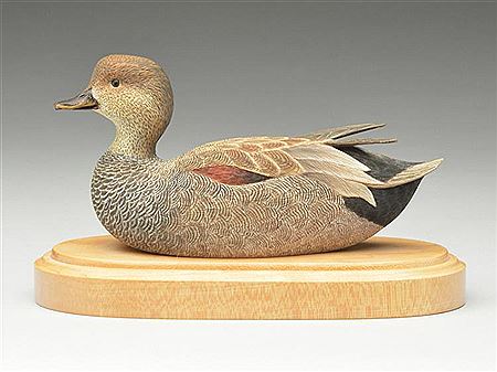 1/4 size gadwall