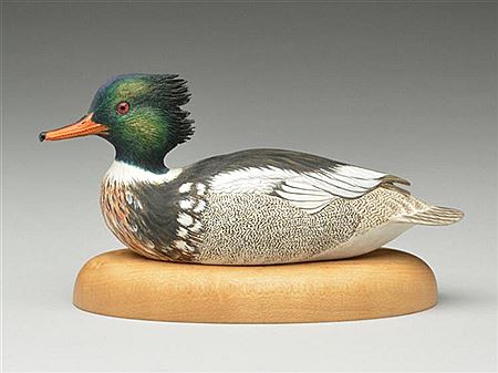 1/4 size merganser drake